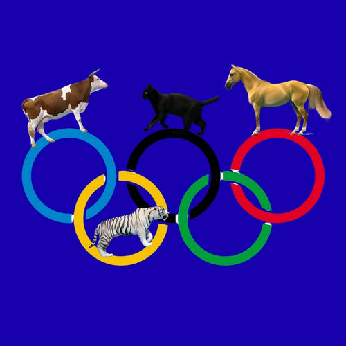 Viral Olympic Animals – How I Made $600 in One Week with AI Animal Dive Videos