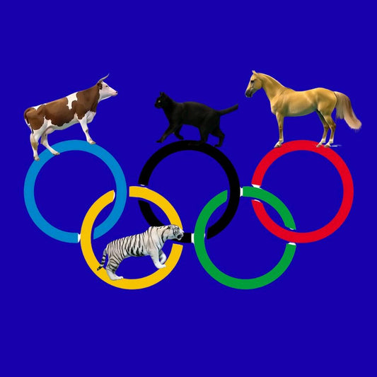 Viral Olympic Animals – How I Made $600 in One Week with AI Animal Dive Videos